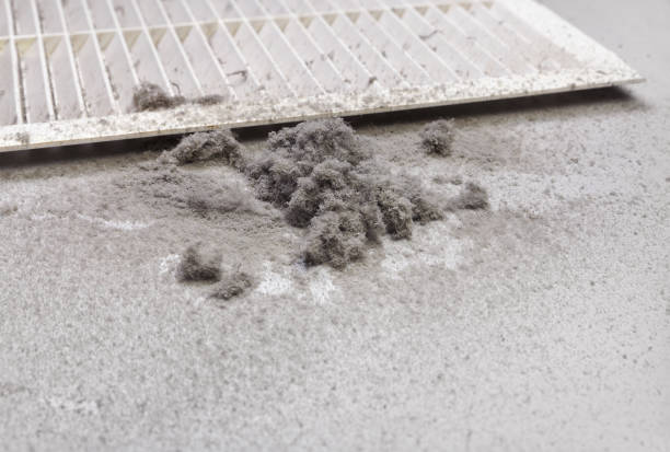 Best Home Air Vent Cleaning  in Forest Oaks, NC
