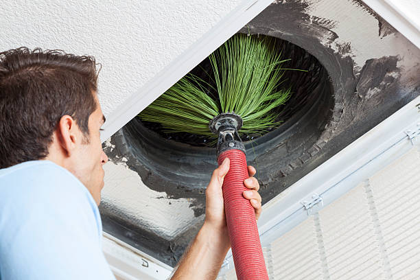 Best Air Duct Sanitizing Services  in Forest Oaks, NC